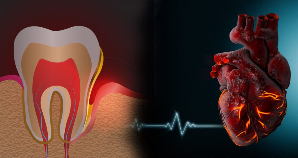 a tooth and a heart